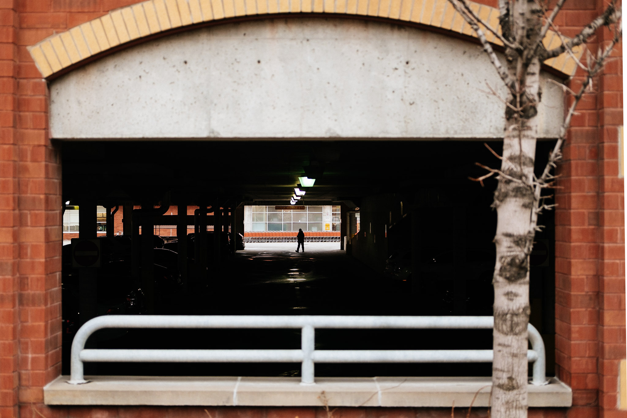 /projects/photography/2019_spring_montreal/orange.jpg